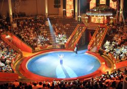 БФ “Система” откроет двери Цирка Никулина и театров для детей-сирот и детей-инвалидов