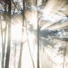 Открытая группа поддержки для ухаживающих за тяжелобольными близкими